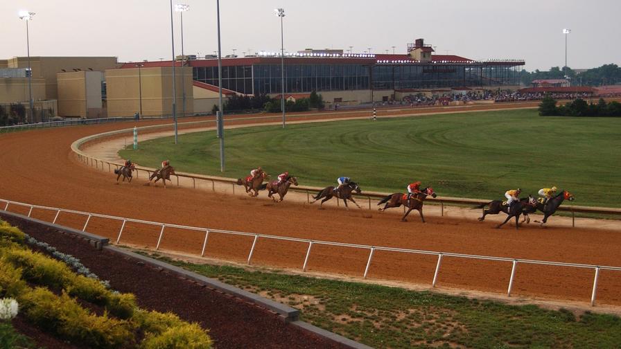 florida online horse racing gambling site