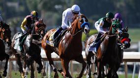 Thistledown Horse Racing Picks for Tuesday 7/7/20