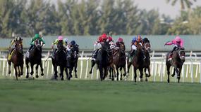 Mountaineer Park Horse Racing Picks for Tuesday 7/7/20