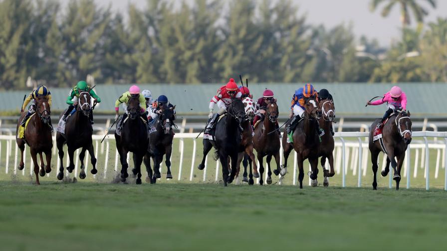 horse racing at hollywood casino at charlestown