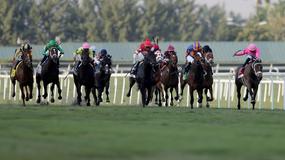Saratoga Horse Racing Picks for Saturday 8/1/20