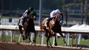 Del Mar Horse Racing Picks for Sunday 8/2/20