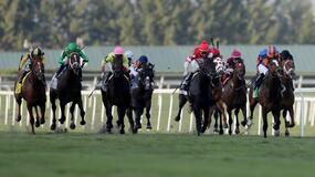 Del Mar Horse Racing Picks for Friday 11/20/20