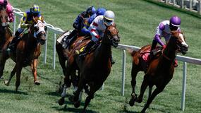 Del Mar Horse Racing Picks for Sunday 11/22/20