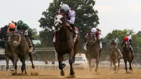 Gulfstream Park Horse Racing Picks for Wednesday 12/2/20