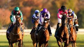 Santa Anita Park Horse Racing Picks for Sunday 4/18/21