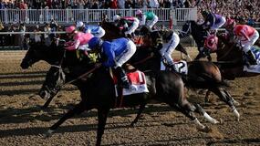 Santa Anita Park Horse Racing Picks for Friday 6/11/21