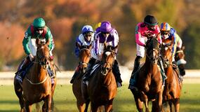 Santa Anita Park Horse Racing Picks for Saturday 6/12/21