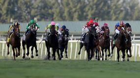 Belmont Horse Racing Picks for Friday 6/18/21