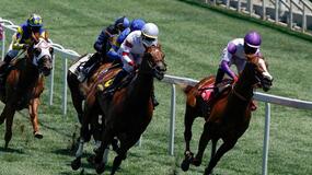 Santa Anita Park Horse Racing Picks for Friday 6/18/21