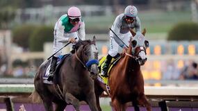 Santa Anita Park Horse Racing Picks for Saturday 6/19/21