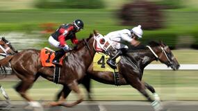 Belmont Horse Racing Picks for Thursday 6/24/21