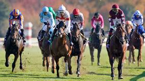 Del Mar Horse Racing Picks for Saturday 7/24/21