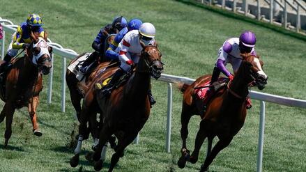 Daily Horse Racing News Predictions Picks Analysis Numberfire