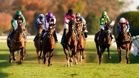 Del Mar Horse Racing Picks for Sunday 8/29/21