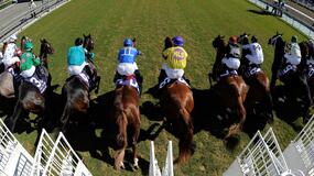 Belmont Horse Racing Picks for Sunday 9/19/21