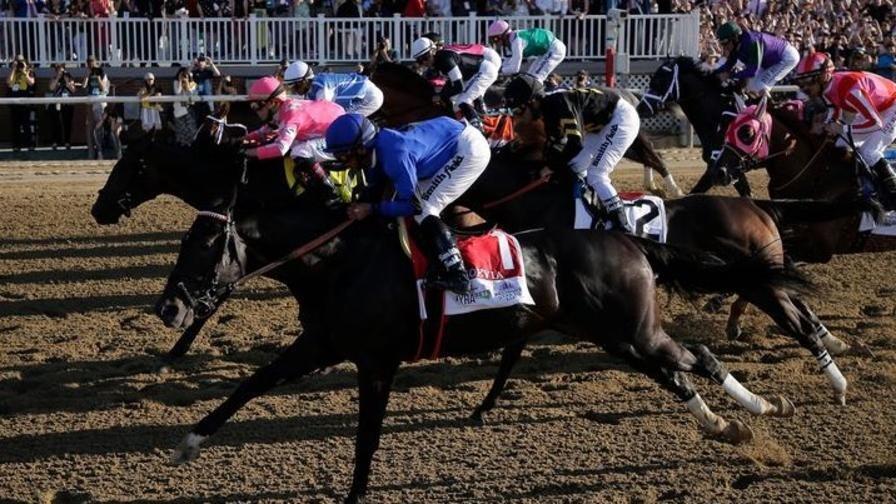 According to Timeform's projections, which horse racing bets should you make today?