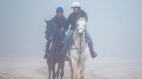 Preakness Stakes Notes for 5/14/22