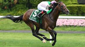 Man o' War Stakes Results and Payouts for 5/14/22
