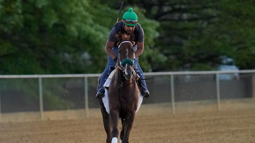 3 Best Bets to Win the 2023 Preakness Stakes on FanDuel Racing