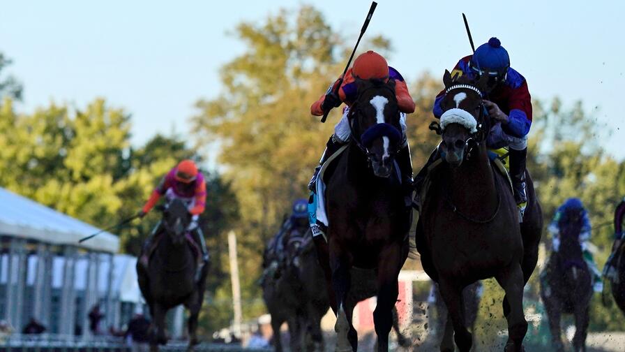 3 Best Bets to Win the 2023 Preakness Stakes on FanDuel Racing