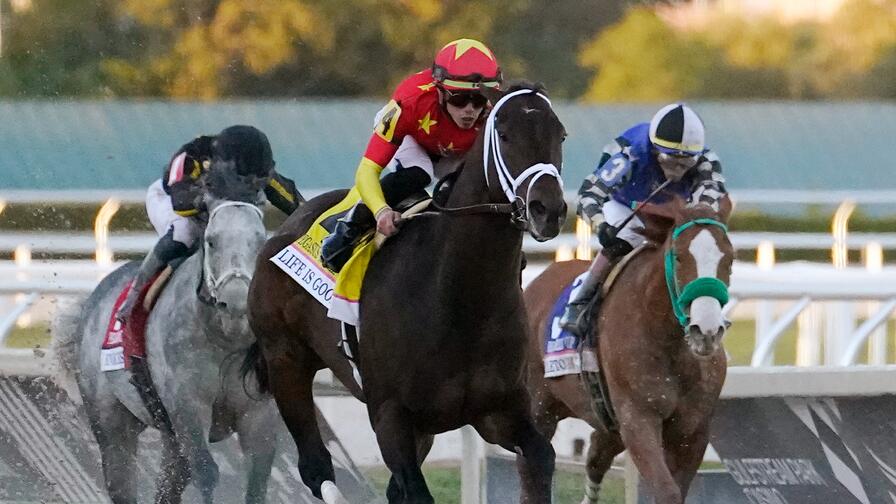 There are nine races at Belmont on Thursday. Which horses should you bet on at FanDuel Racing?