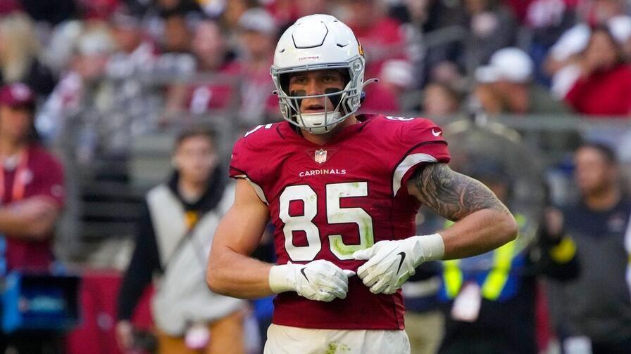 Arizona Cardinals tight end Stephen Anderson (89) during the first